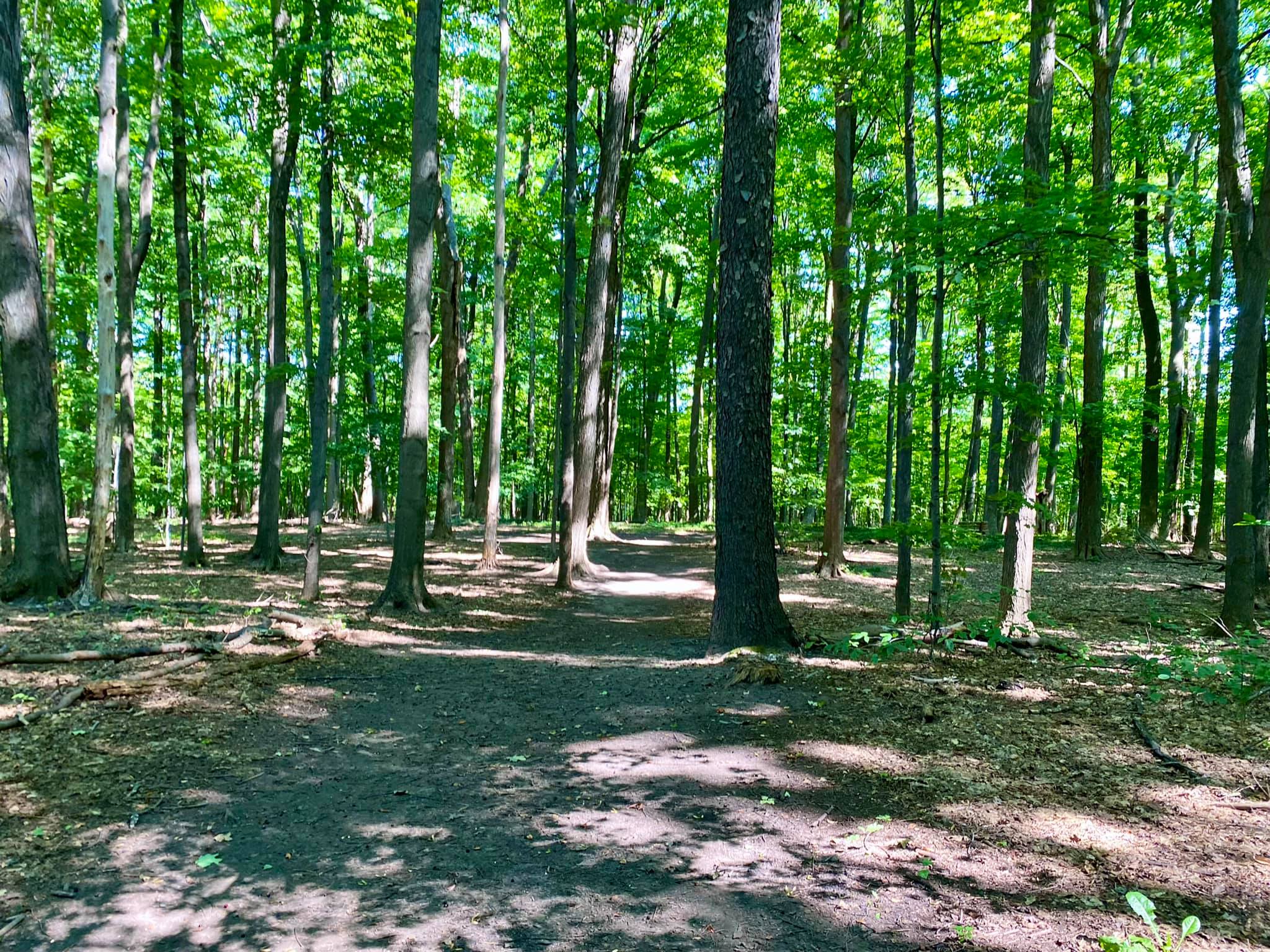 Harris Whalen Park Nature Trail Penfield, NY Adventures in New York