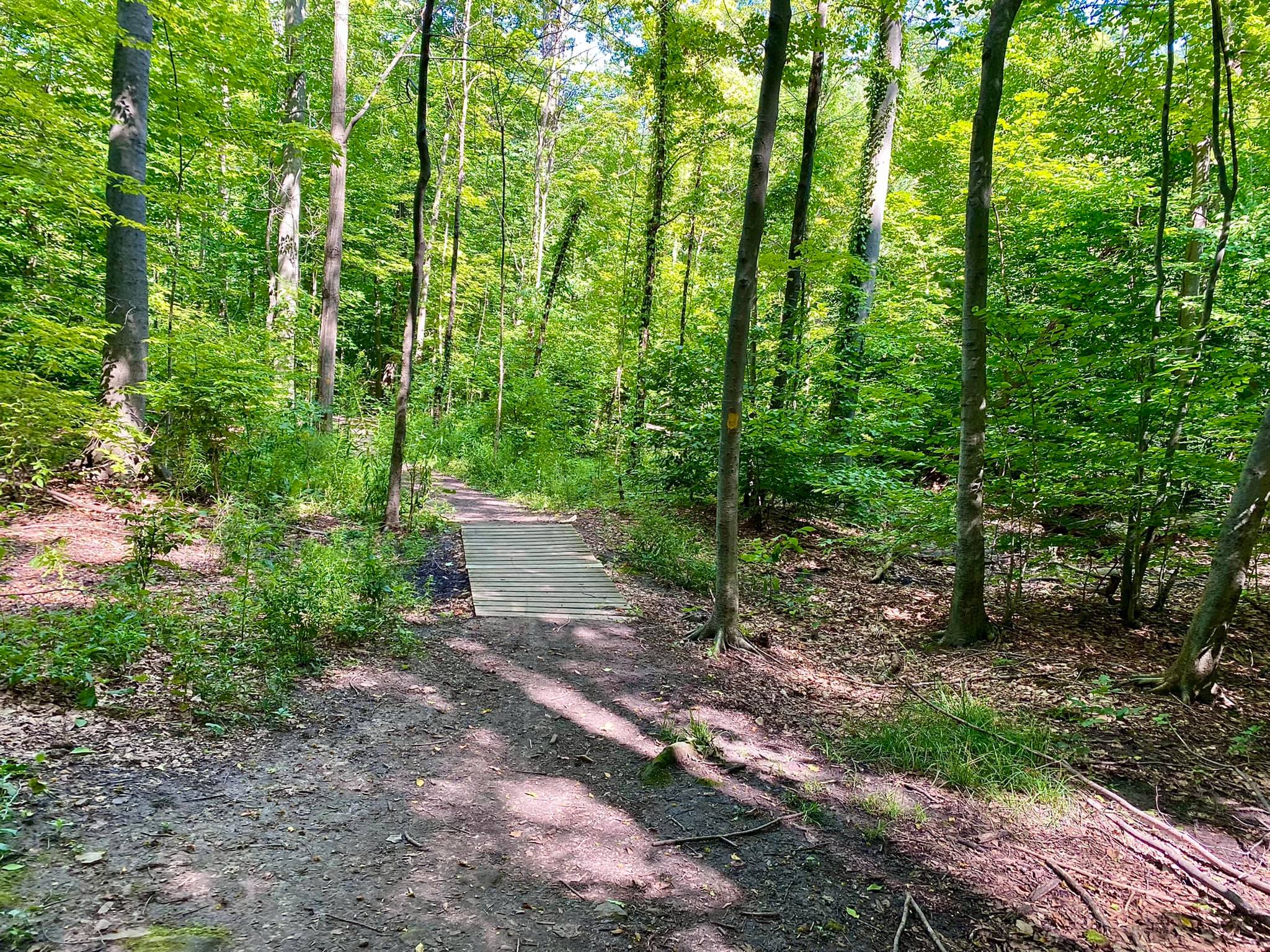 Harris Whalen Park Nature Trail Penfield, NY Adventures in New York