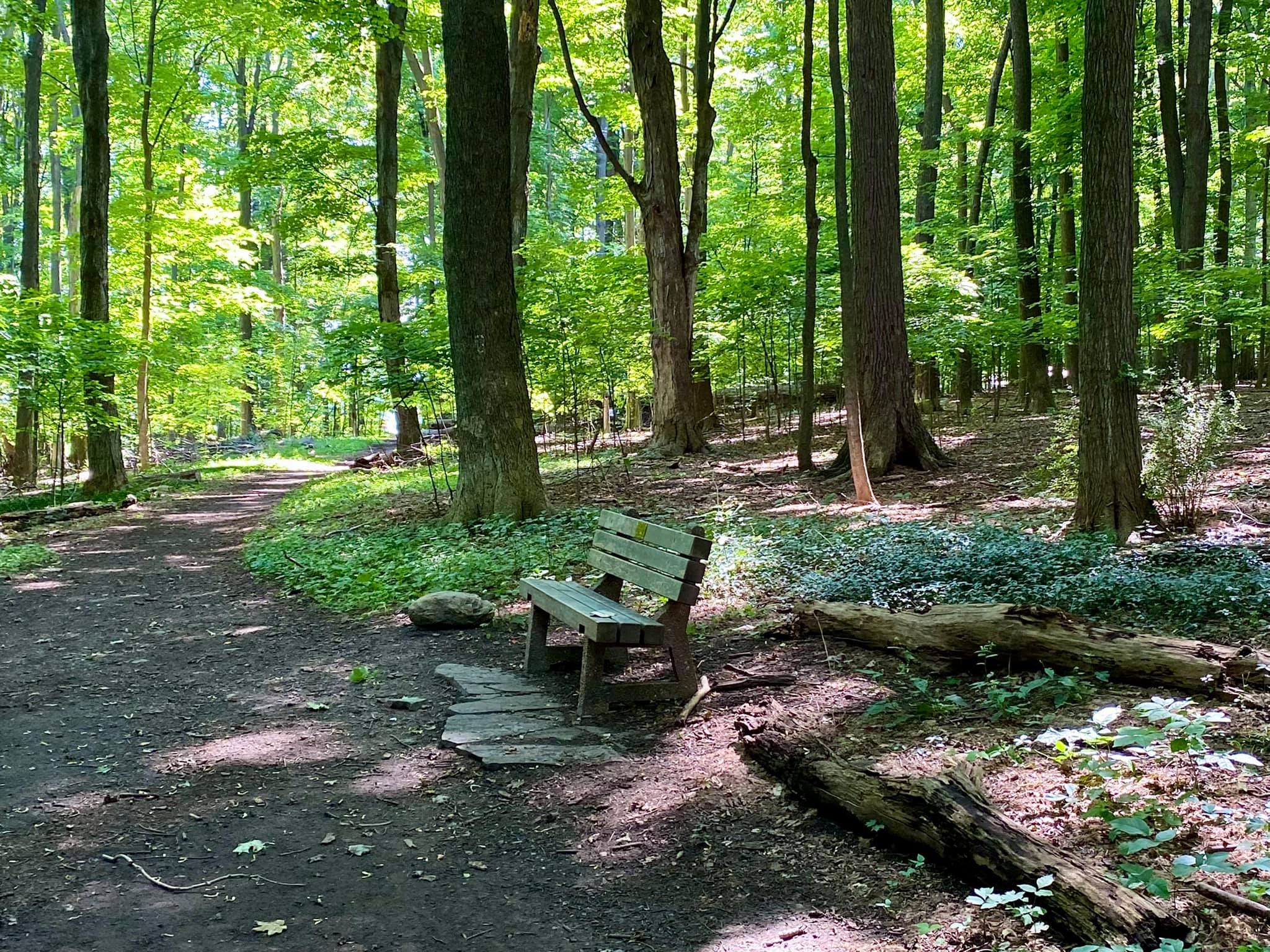 Harris Whalen Park Nature Trail Penfield, NY Adventures in New York