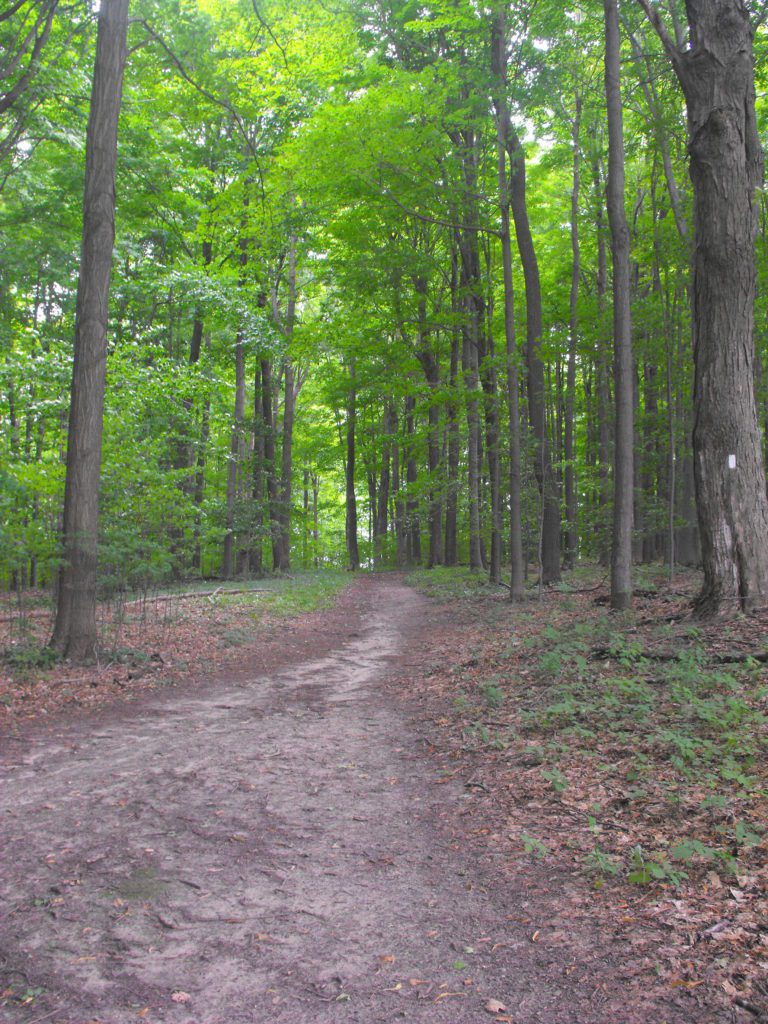 Harris Whalen Park Nature Trail Penfield, NY Adventures in New York