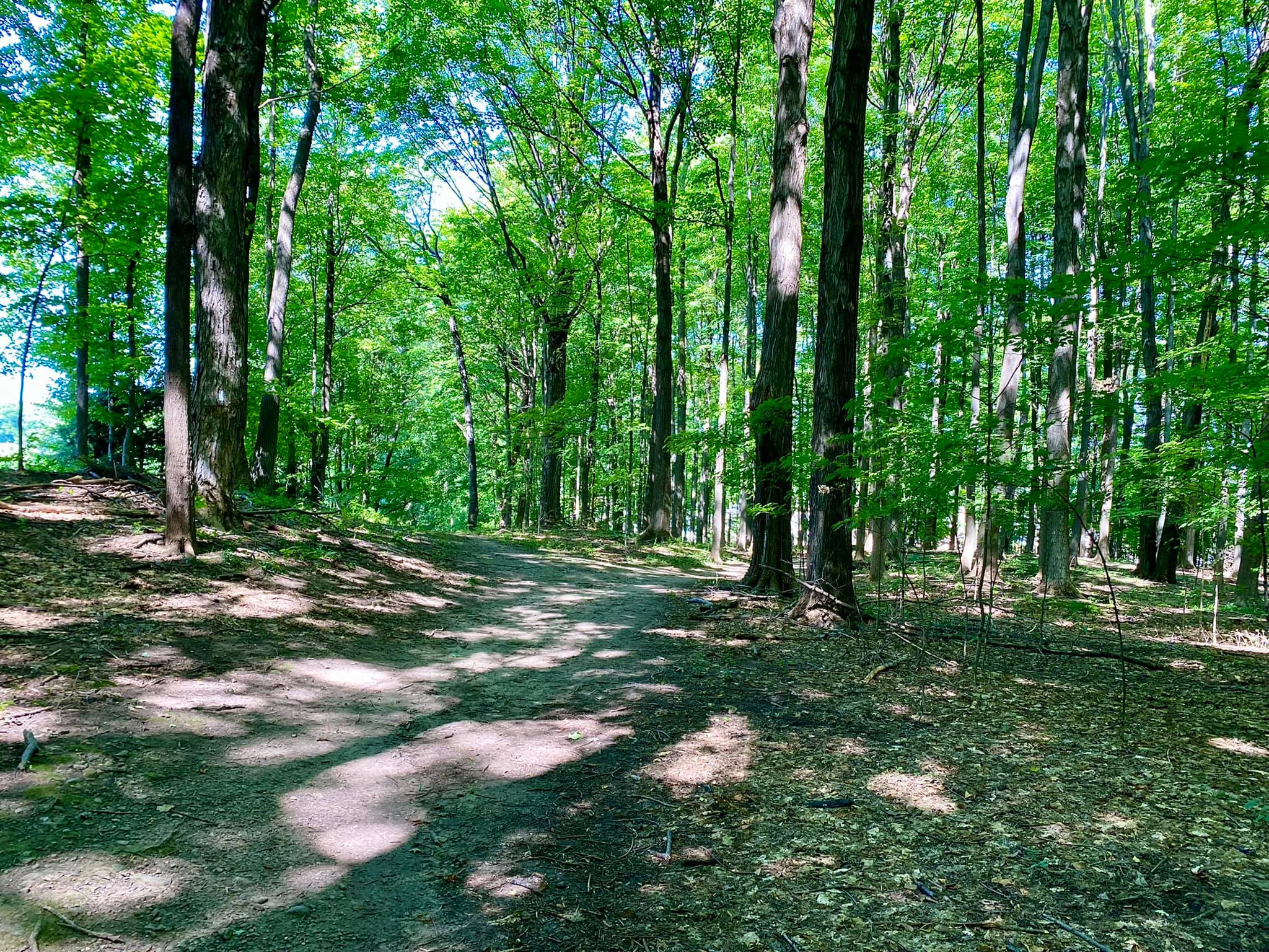 Harris Whalen Park Nature Trail Penfield, NY Adventures in New York