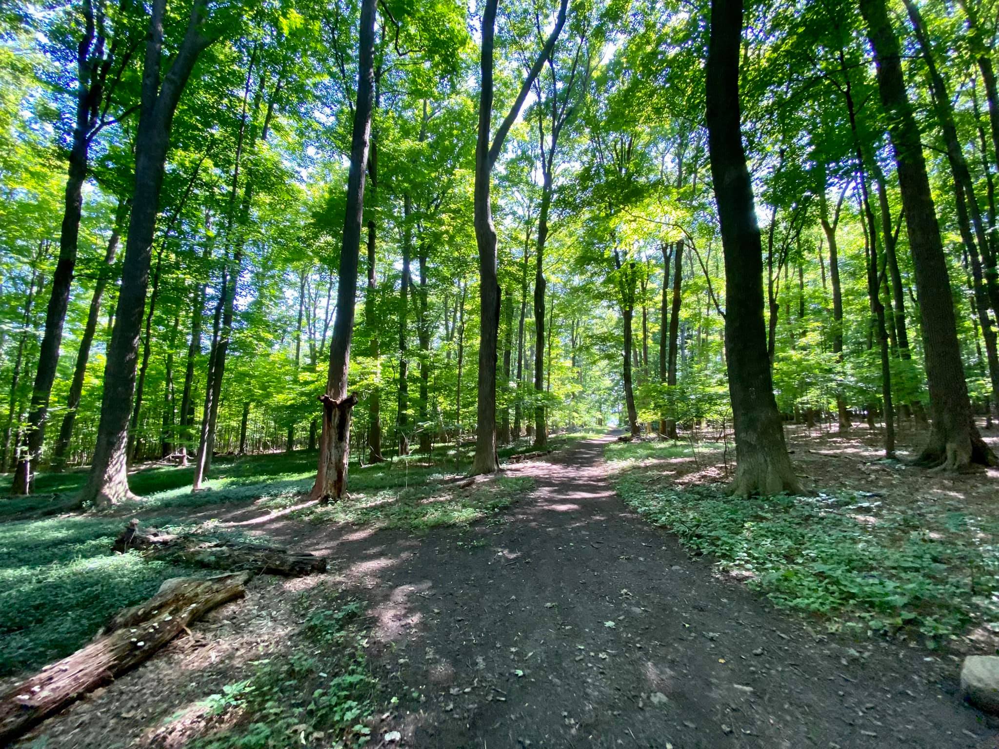 Harris Whalen Park Nature Trail Penfield, NY Adventures in New York