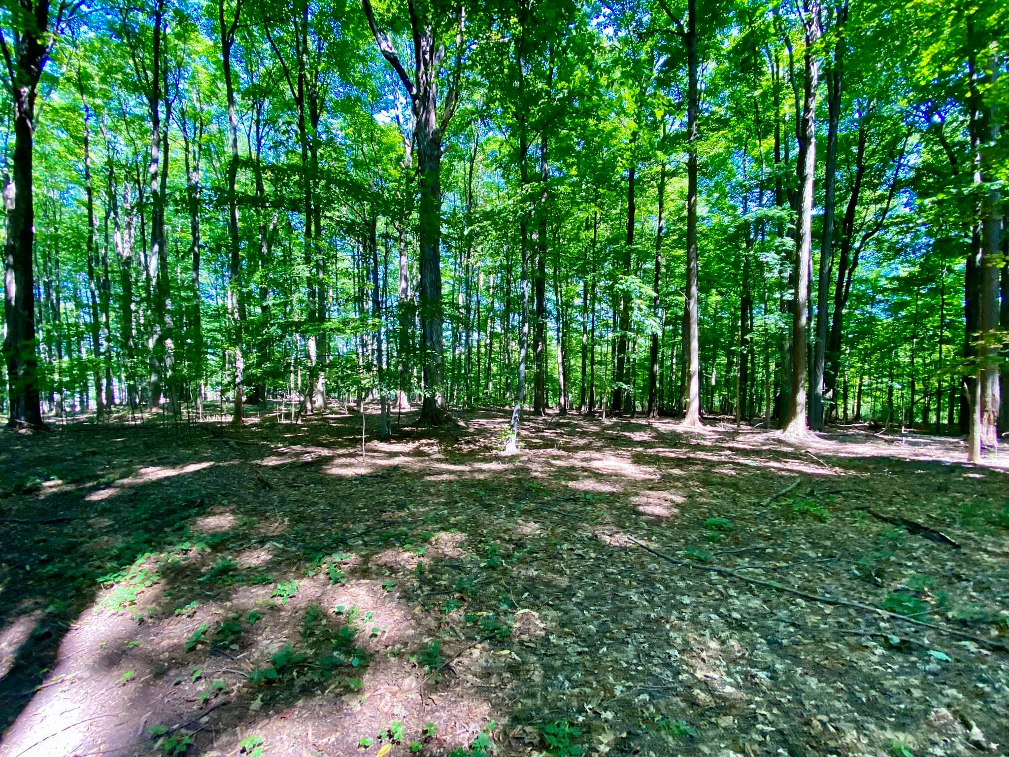 Harris Whalen Park Nature Trail Penfield, NY Adventures in New York