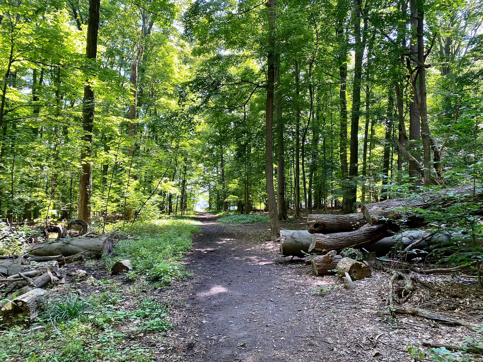 Harris Whalen Park Nature Trail Penfield, NY Adventures in New York