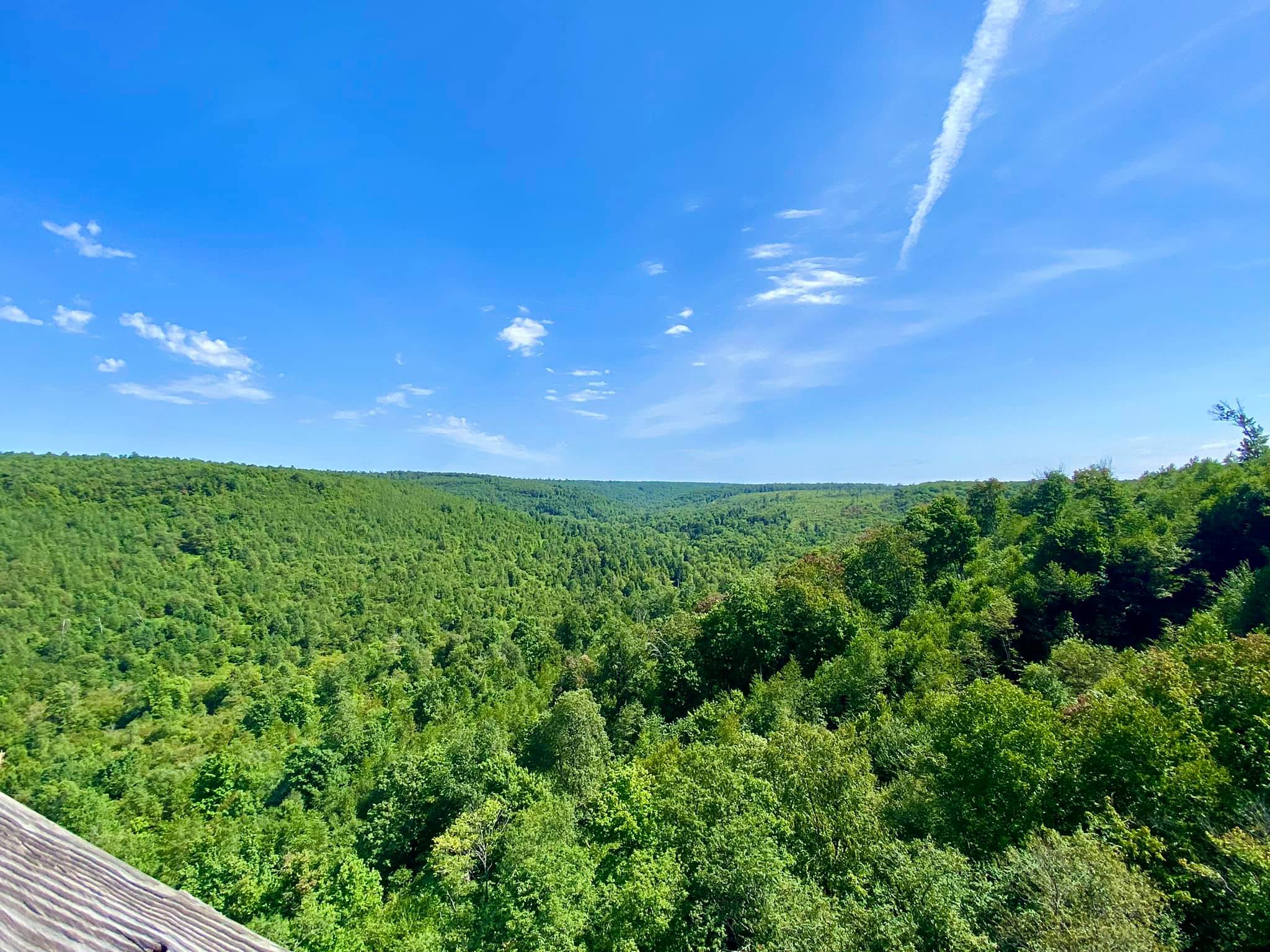 Kinzua Bridge State Park & Skywalk Mount Jewett, PA Adventures in