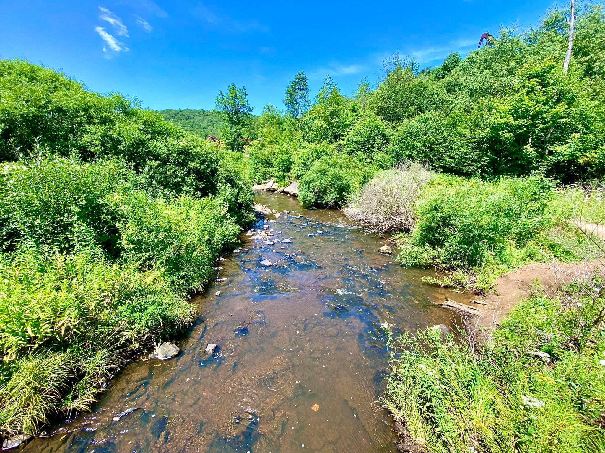 Kinzua Bridge State Park & Skywalk Mount Jewett, PA Adventures in