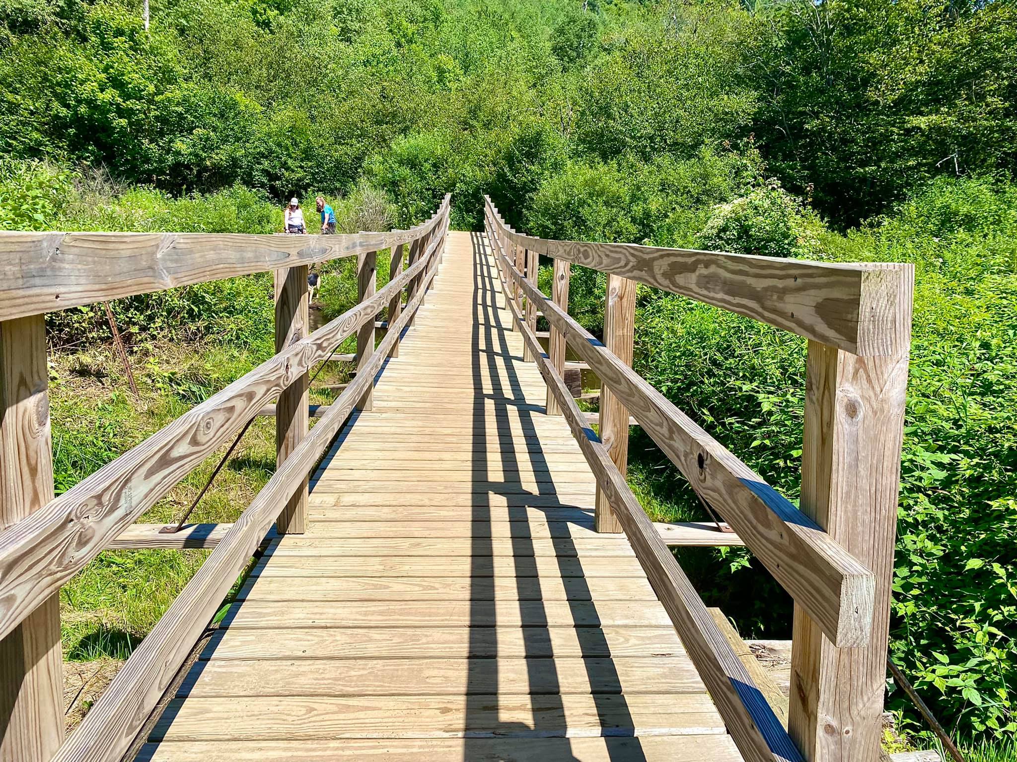Kinzua Bridge State Park & Skywalk Mount Jewett, PA Adventures in