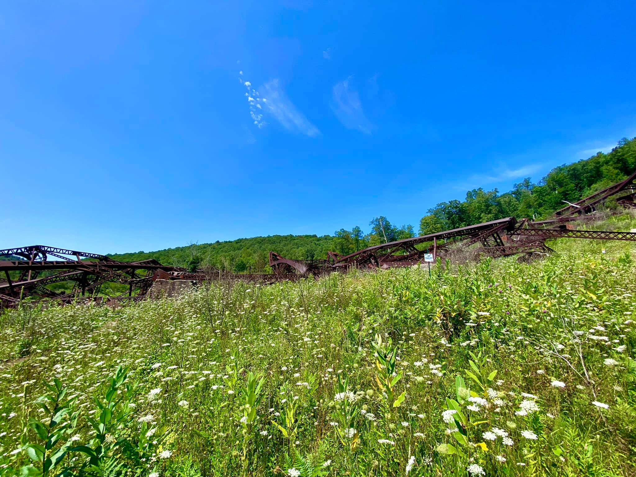 Kinzua Bridge State Park & Skywalk Mount Jewett, PA Adventures in