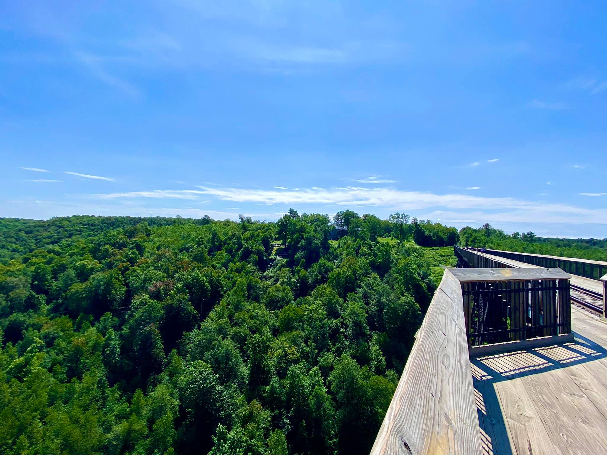 Kinzua Bridge State Park & Skywalk Mount Jewett, PA Adventures in