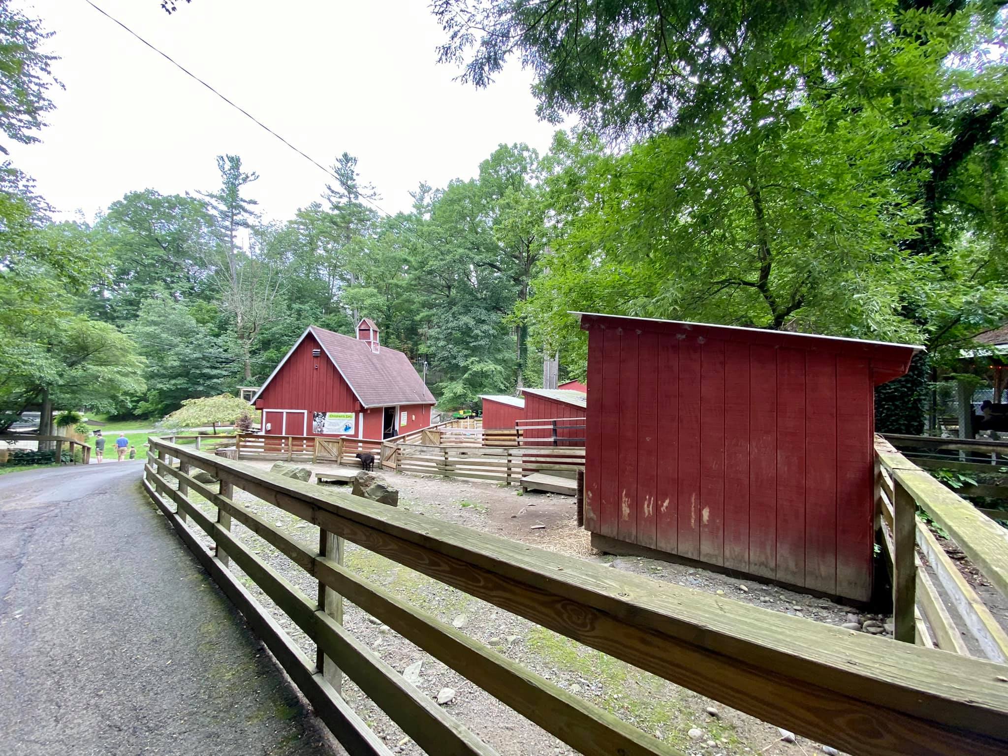 rpz84 Adventures in New York