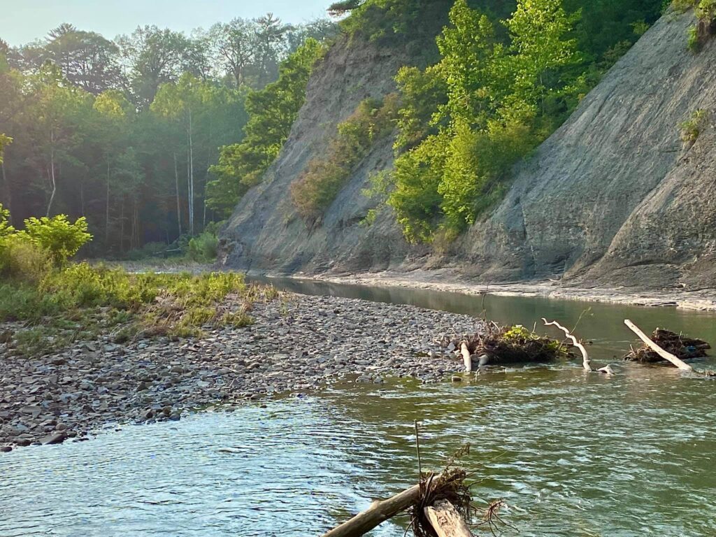 Sonyea State Forest & Keshequa Creek Falls Groveland, NY Adventures in New York