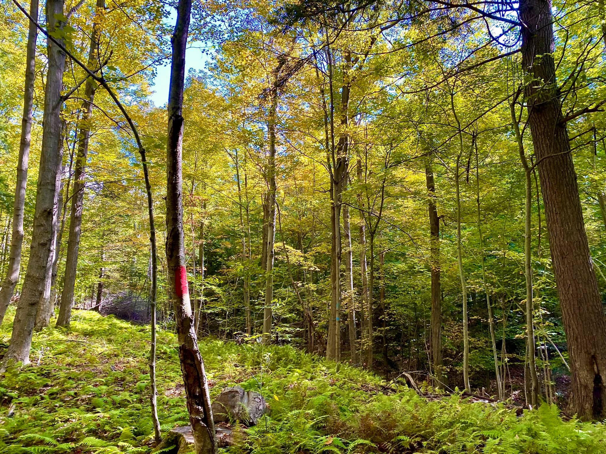 Bentley Bond’s Trail North Rose, NY Adventures in New York