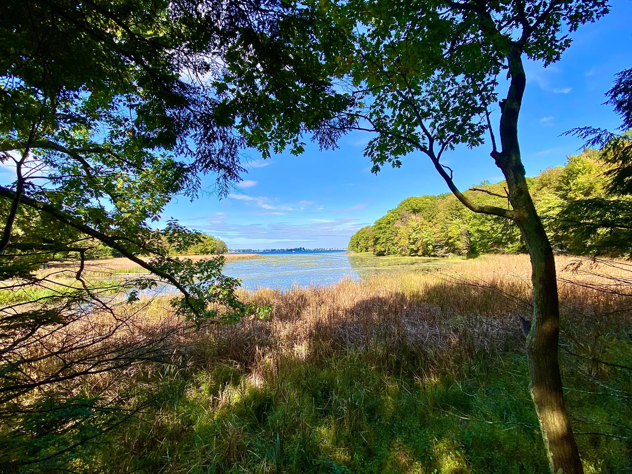 Bentley Bond’s Trail North Rose, NY Adventures in New York