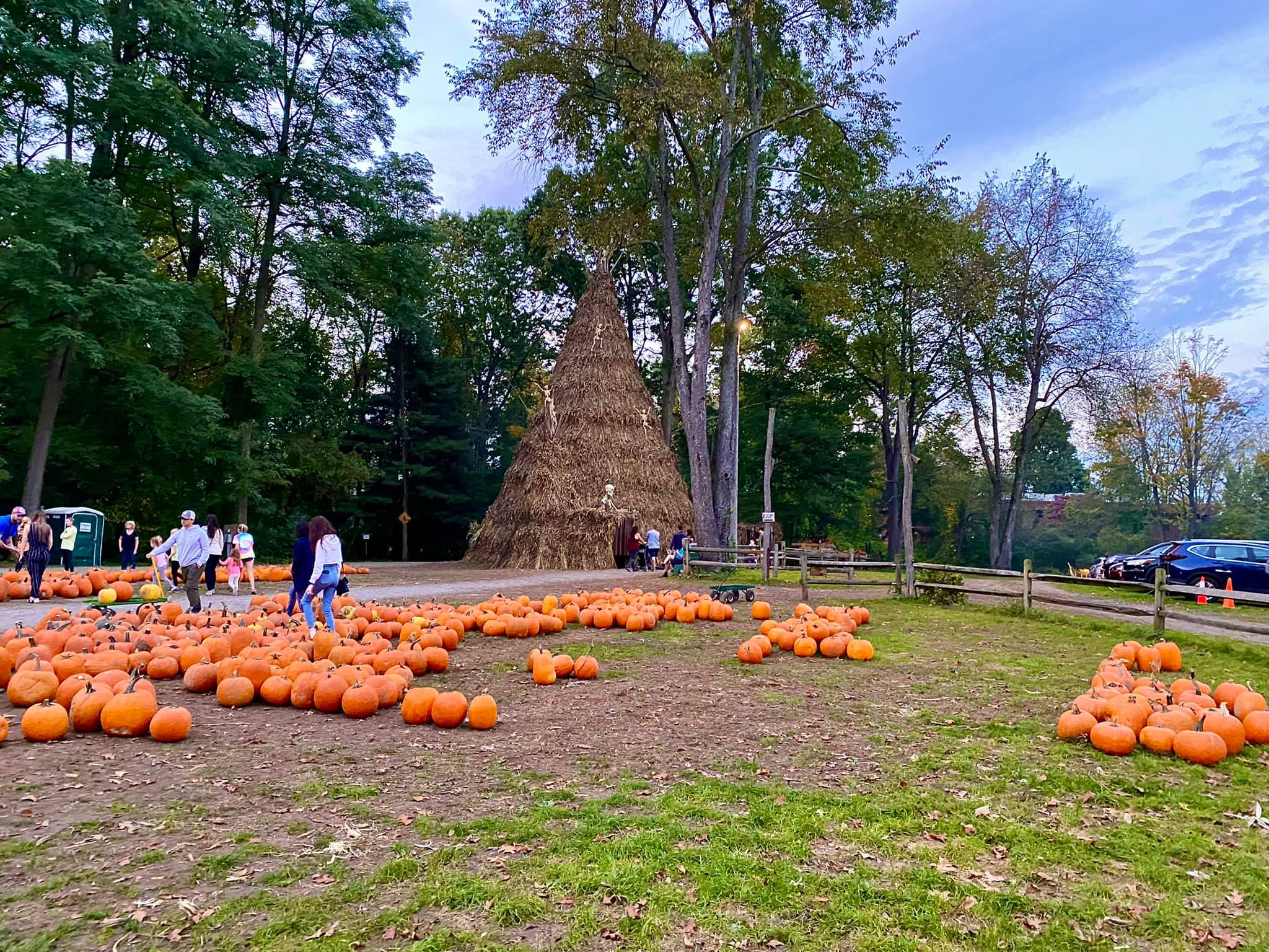 Powers Farm Market Pittsford, NY Adventures in New York