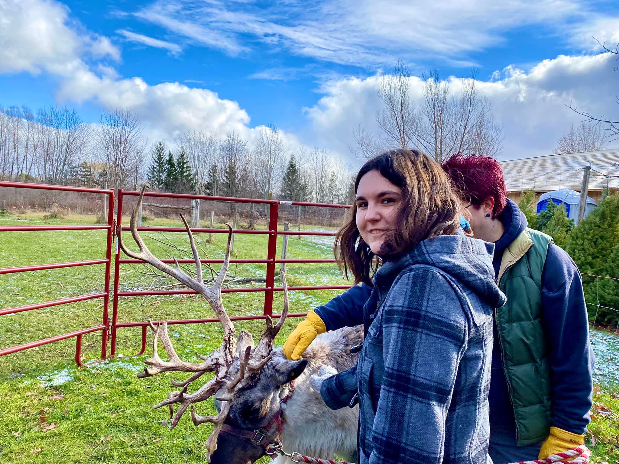 Shortsville Reindeer Farm Shortsville, NY Adventures in New York