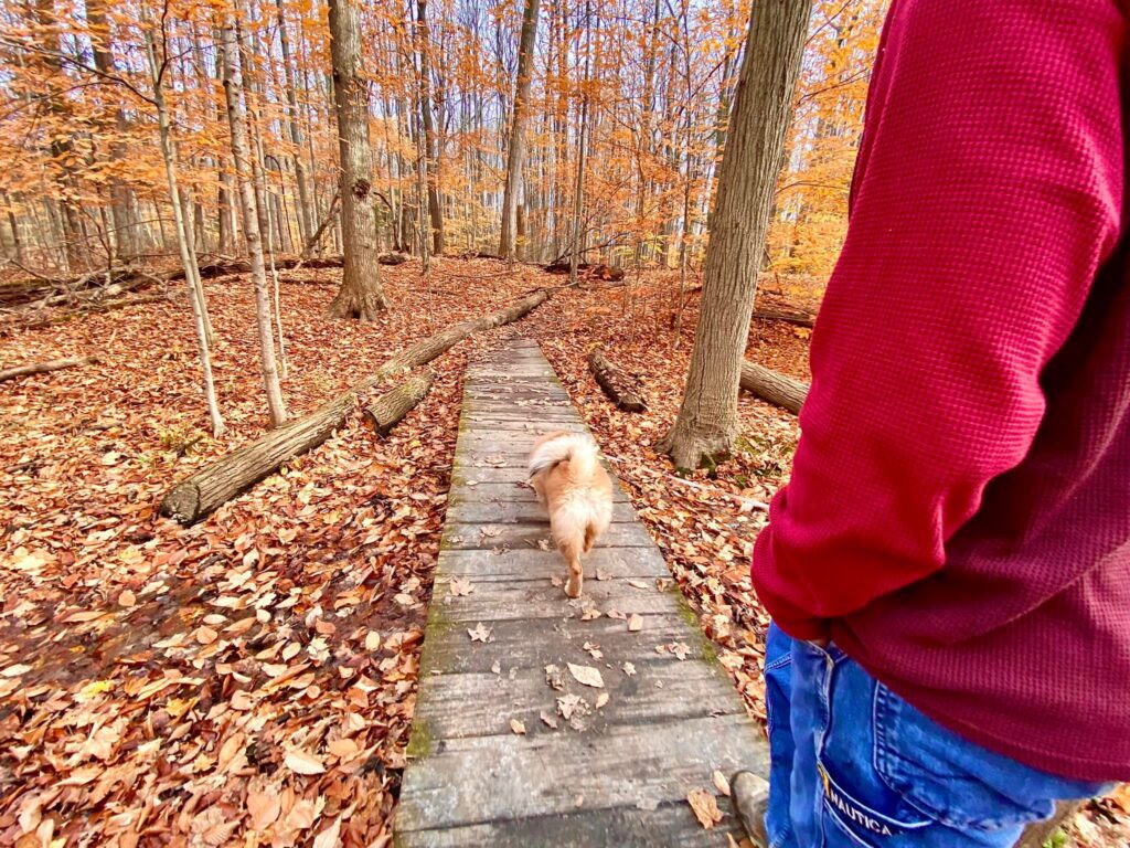 ster Park and Pier ster, NY Adventures in New York