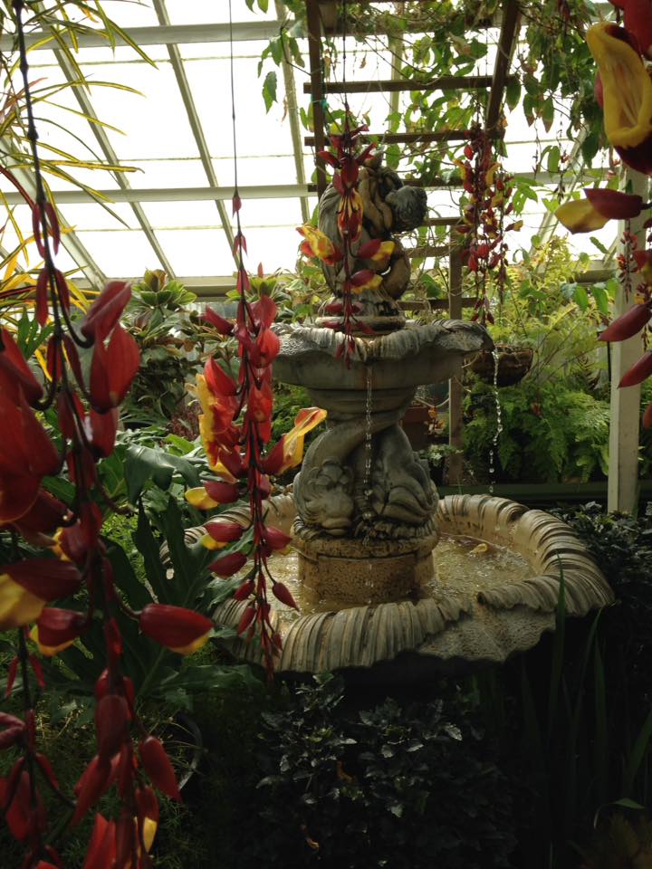 Buffalo Botanical GardensBuffalo, NY Adventures in New York