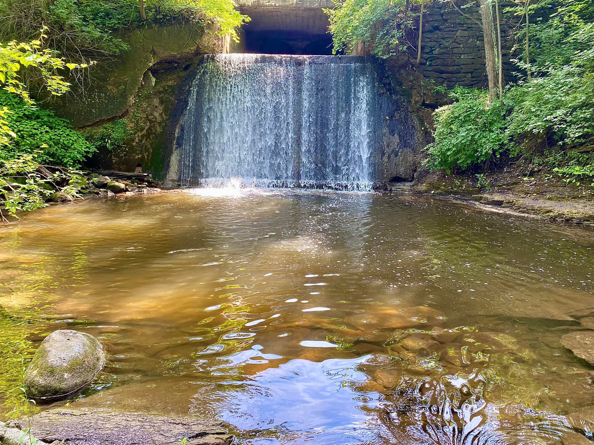 Cracker Box Palace Farm Animal Haven Alton, NY Adventures in New York