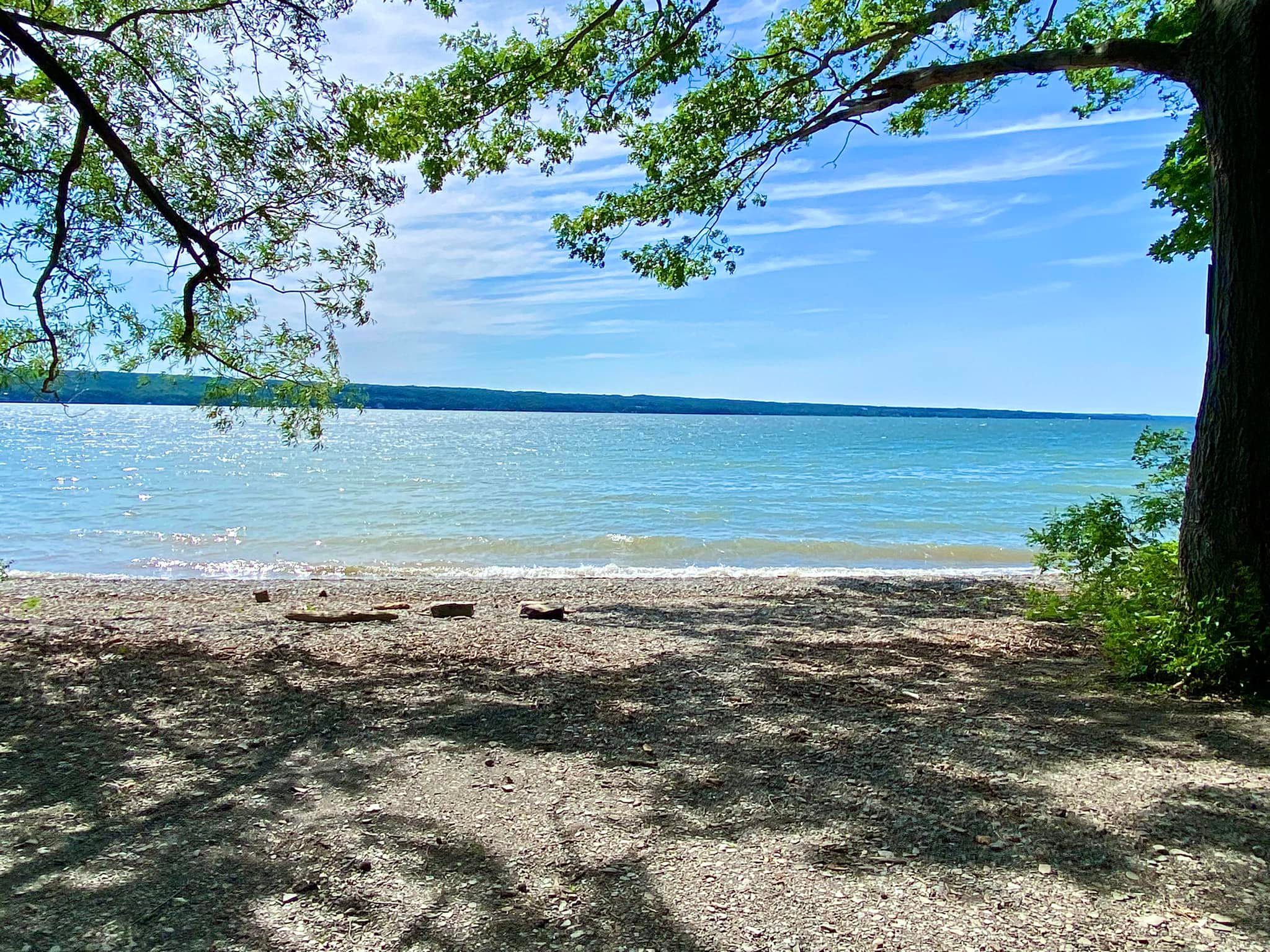 Cayuga Shores Wildlife Management Area (Formerly Bell Station Preserve