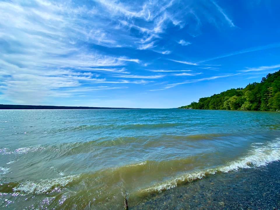 Cayuga Shores Wildlife Management Area (Formerly Bell Station Preserve