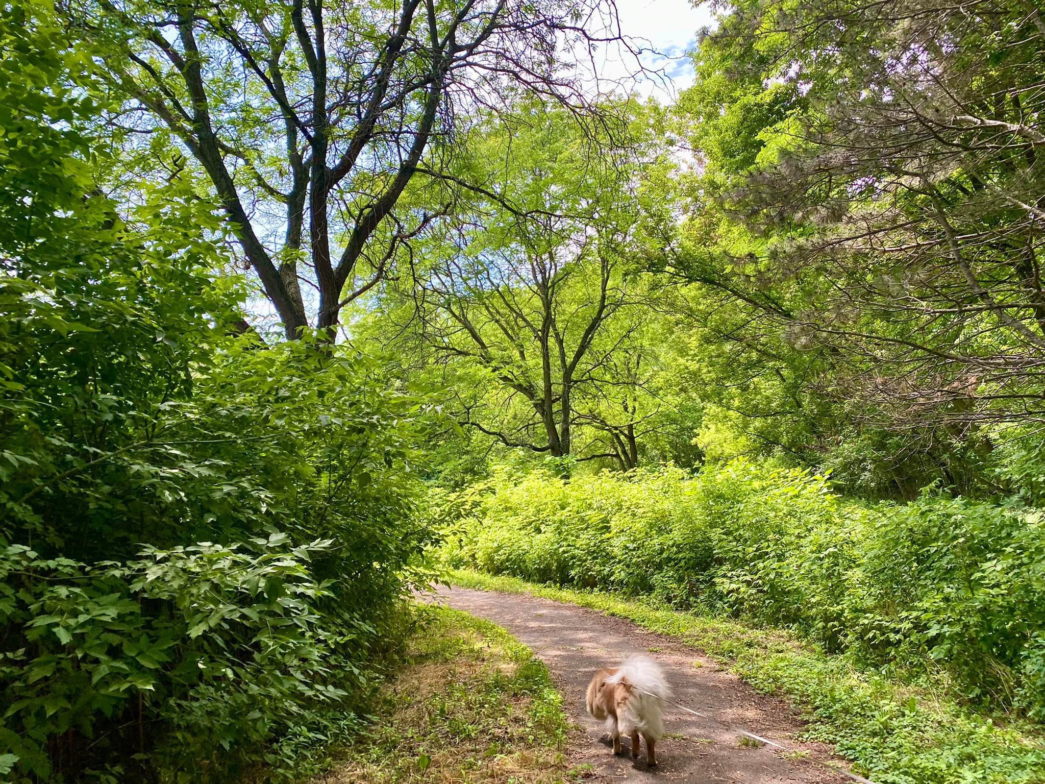 Shadow Pines Property Penfield, NY Adventures in New York