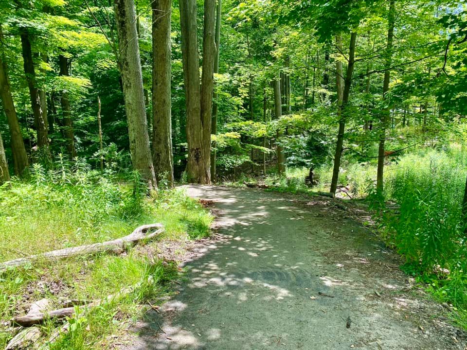Shadow Pines Property Penfield, NY Adventures in New York