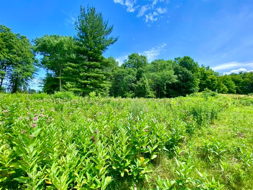 Shadow Pines Property Penfield, NY Adventures in New York
