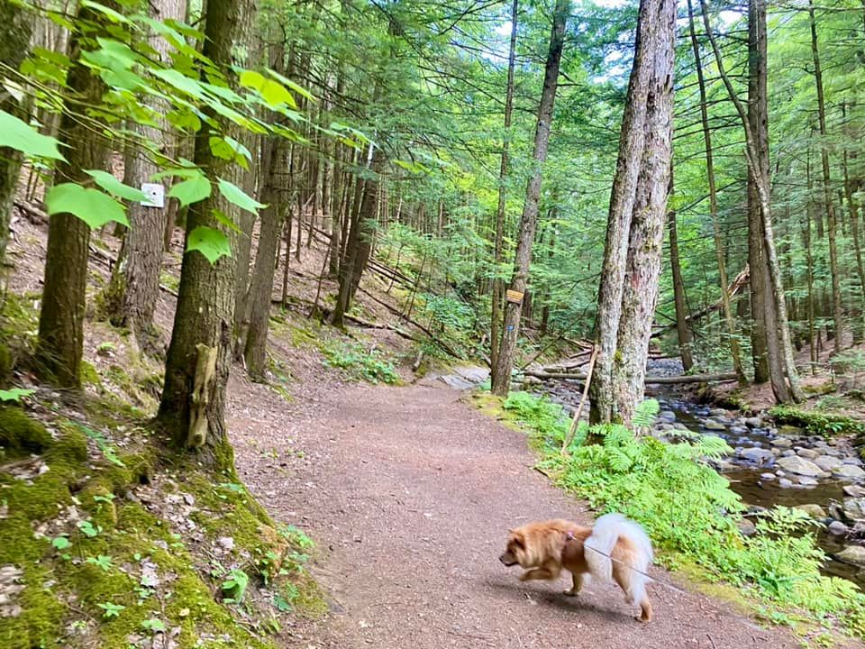 Shelving Rock Falls Fort Ann, NY Adventures in New York