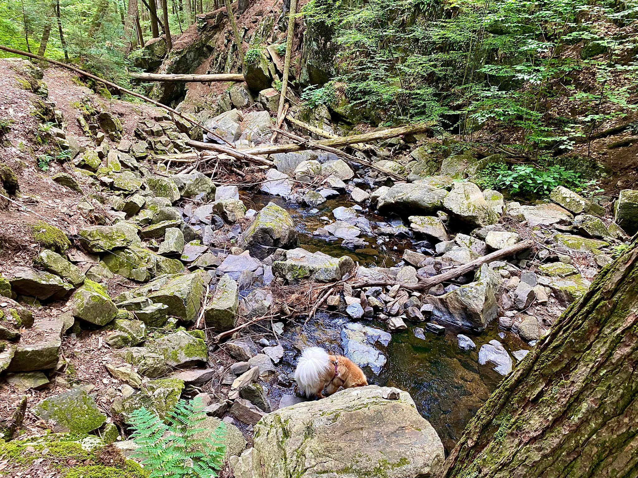 Shelving Rock Falls Fort Ann, NY Adventures in New York