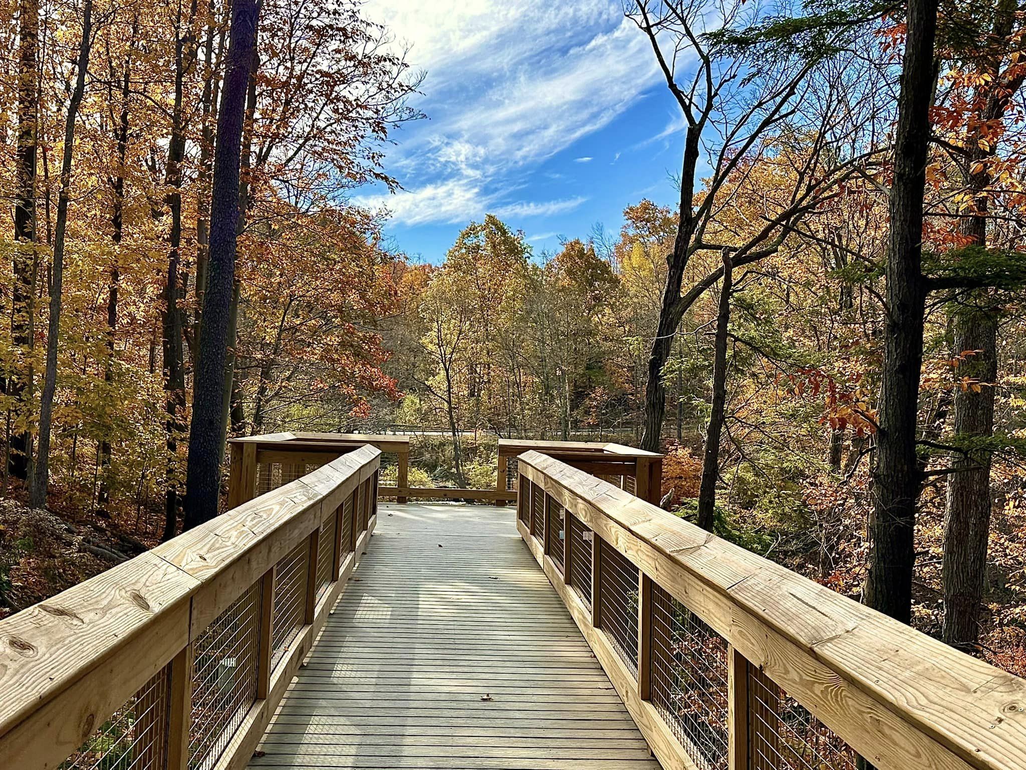 Carpenter Falls and Bahar Nature Preserve Skaneateles, NY
