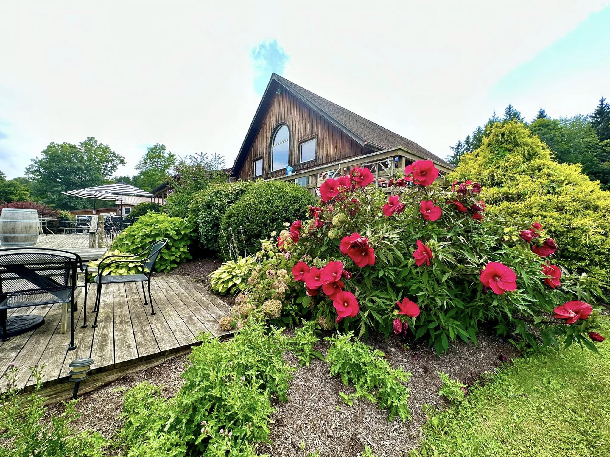 Buttonwood Grove Winery Romulus, NY Adventures in New York