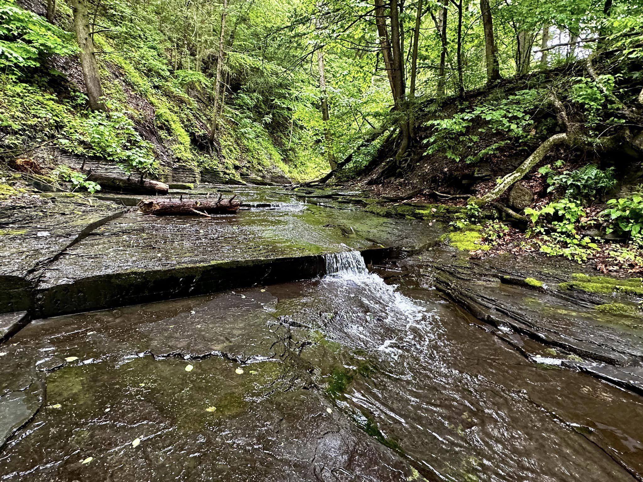 Botsford Nature Preserve Branchport, NY Adventures in New York