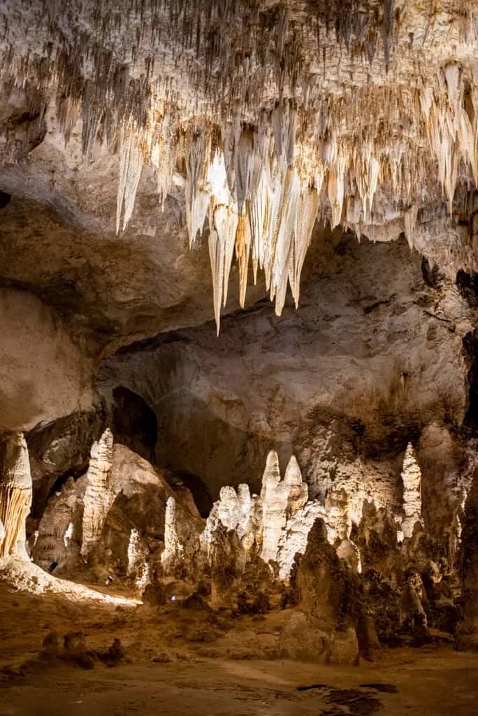 One Day at Carlsbad Caverns National Park Adventures of A+K