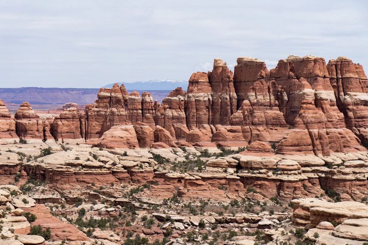 The Best Things to do in the Needles District at Canyonlands National Park
