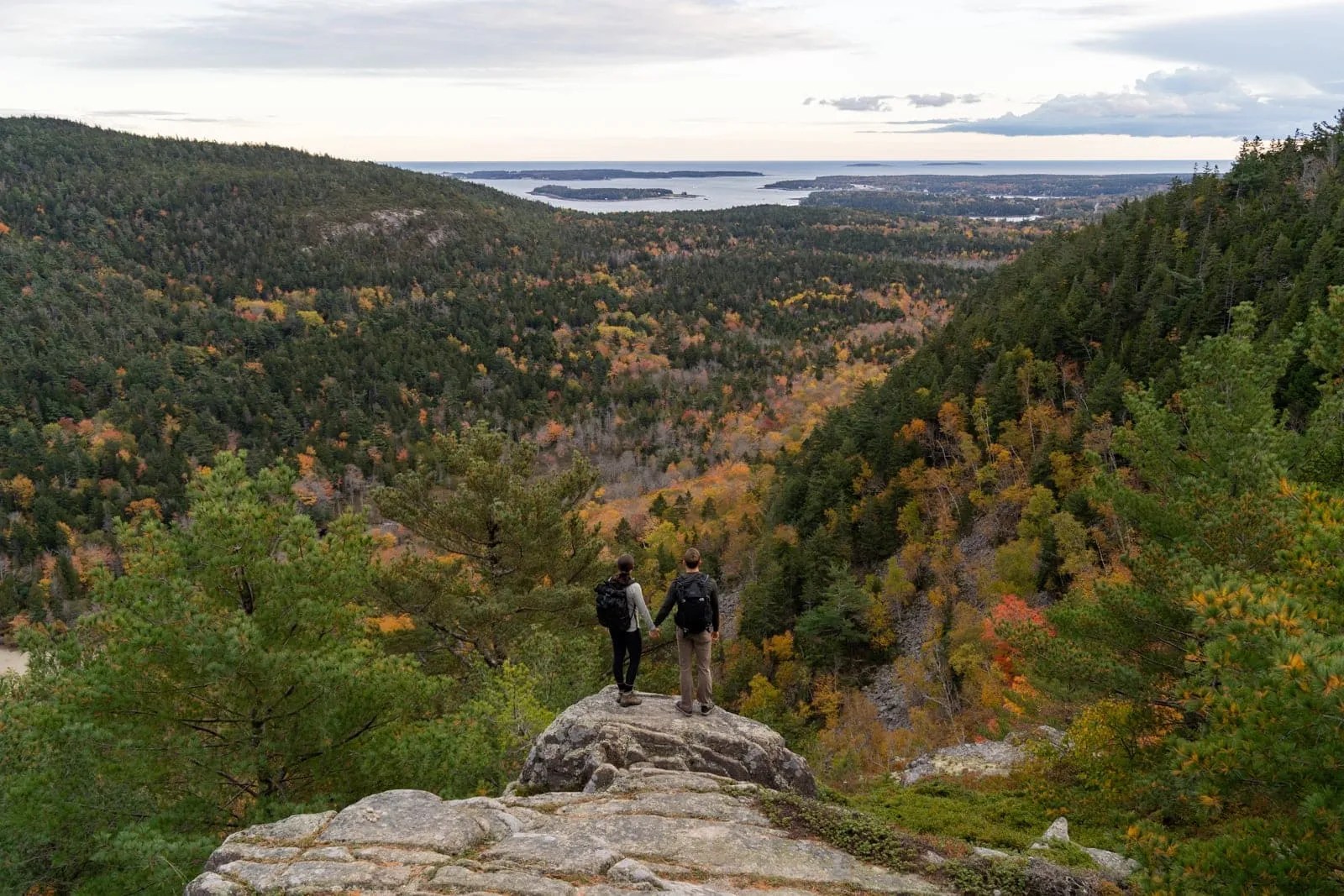 Are Dogs Allowed At Acadia National Park