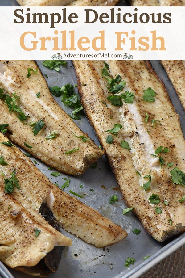Simple and Delicious Grilled Fish Fillets Recipe Adventures of Mel
