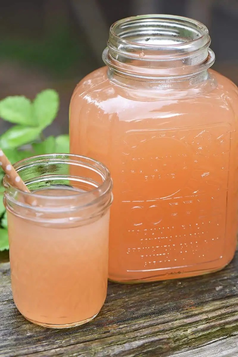 How to Make Homemade Apple Juice without a Juicer Adventures of Mel