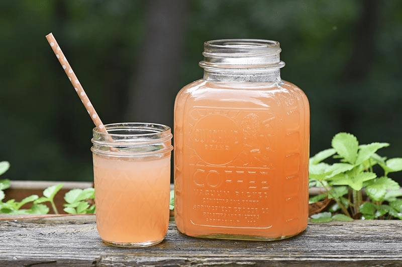 How to Make Homemade Apple Juice without a Juicer Adventures of Mel