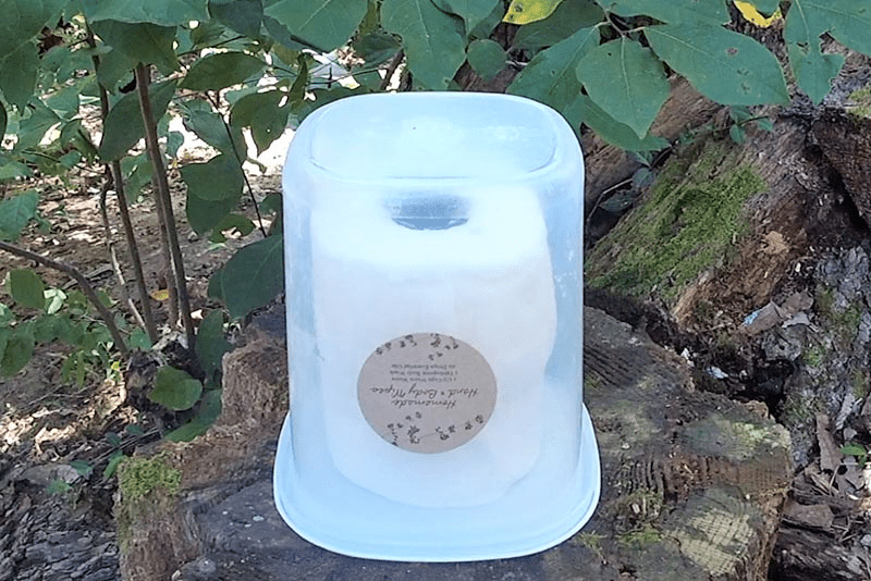 Easy Camping Body Wipes with 5 Simple Ingredients Adventures of Mel