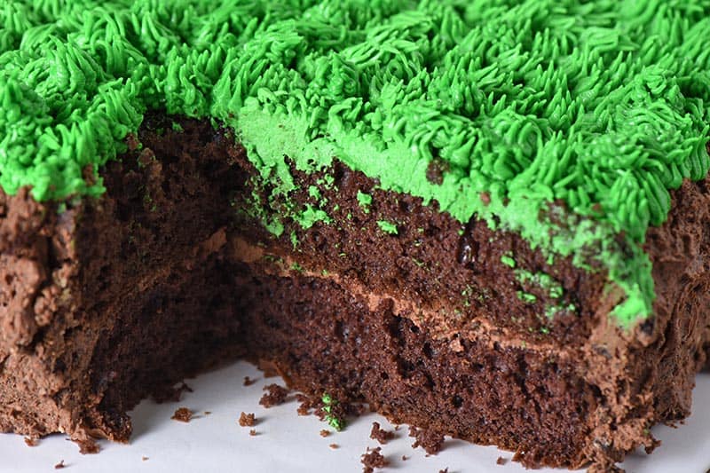 Minecraft Grass block Cake without Fondant Adventures of Mel