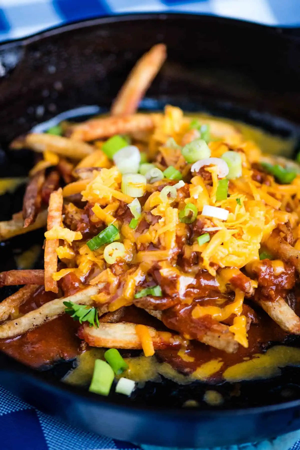 Loaded Chili Cheese Fries in a Cast Iron Skillet Adventures of Mel
