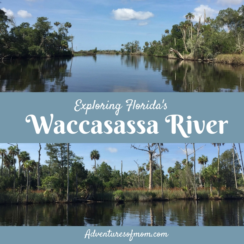 Exploring the Wacasassa River (new YouTube video) Adventures of Mom