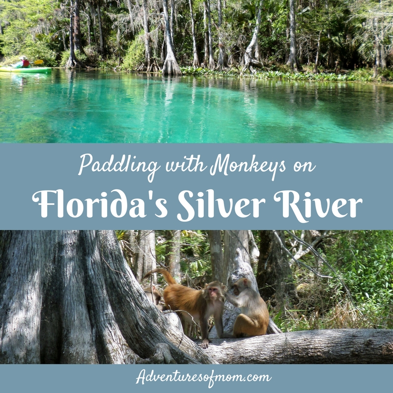 Kayaking Florida's Silver River Adventures of Mom