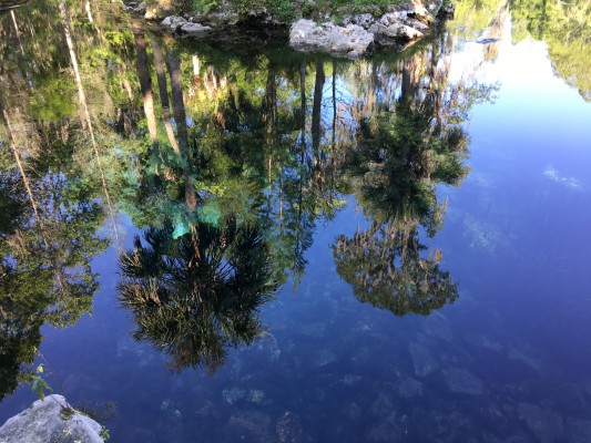 Nature is Our Best Teacher Florida’s Learning Lab + A Visit to Crystal