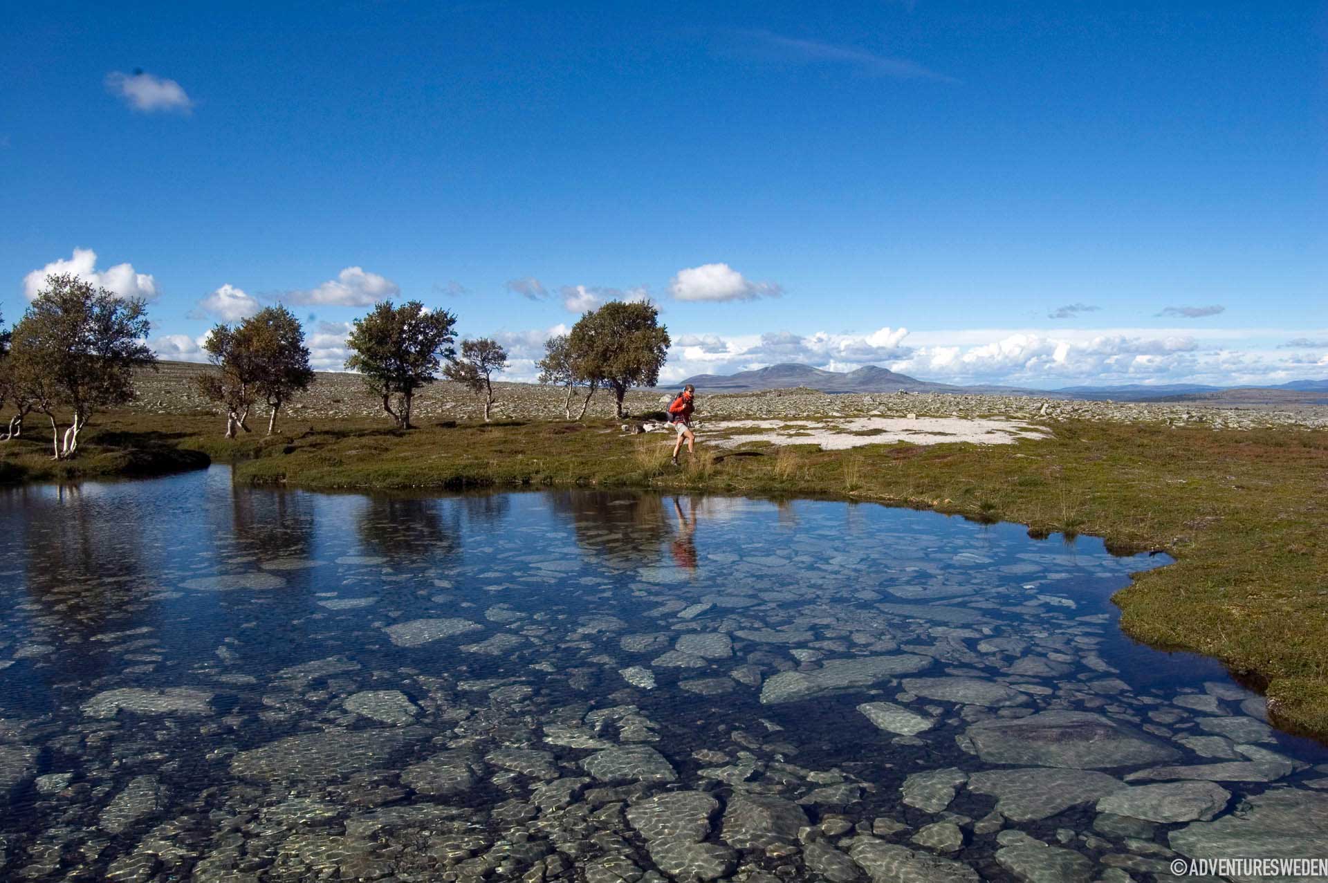 Rogen naturreservat i Sverige Funäsfjällen, Härjedalen
