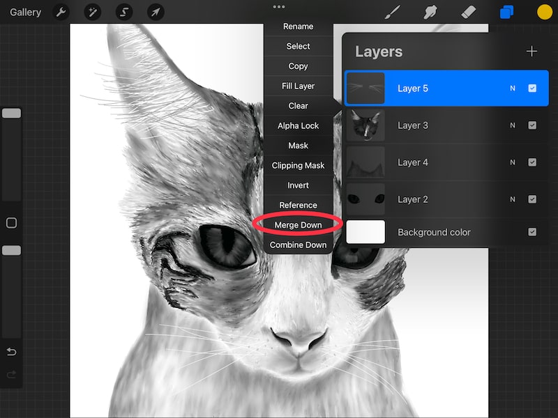 How to Copy and Paste in Procreate the Easy Way Adventures with Art