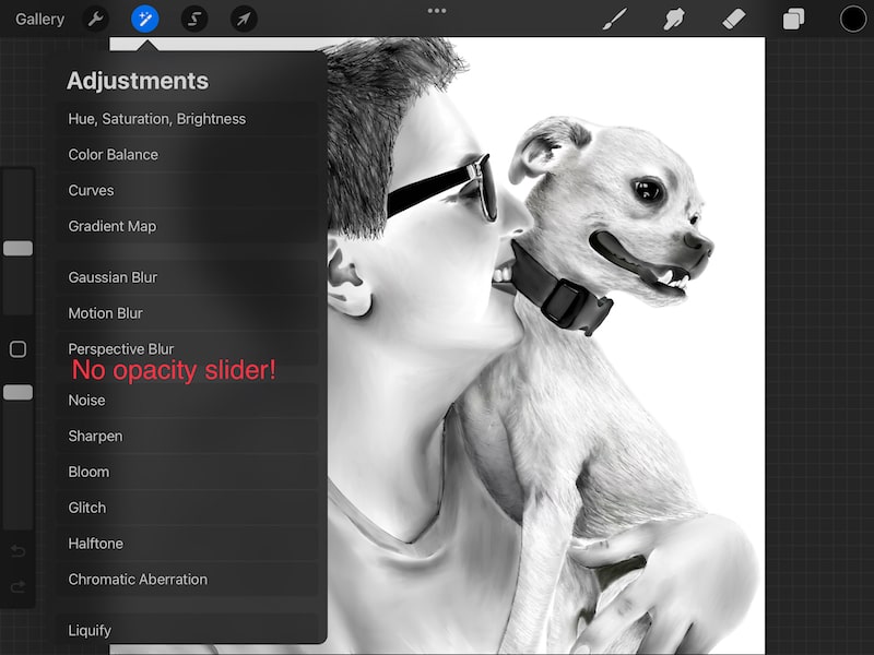 Procreate Layer Opacity How to Master It (2024) Adventures with Art