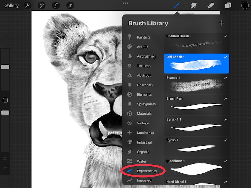 4 Tips for Organizing Your Brushes in Procreate Adventures with Art