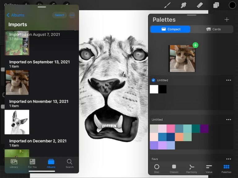 How to Select Colors From an Image in Procreate Adventures with Art