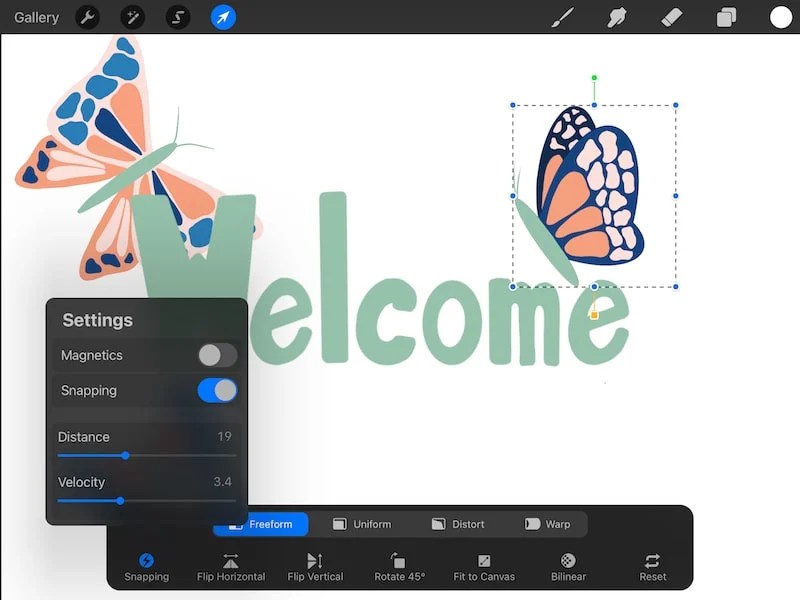 How to Use Procreate’s Transform Tool Ultimate Guide (2024